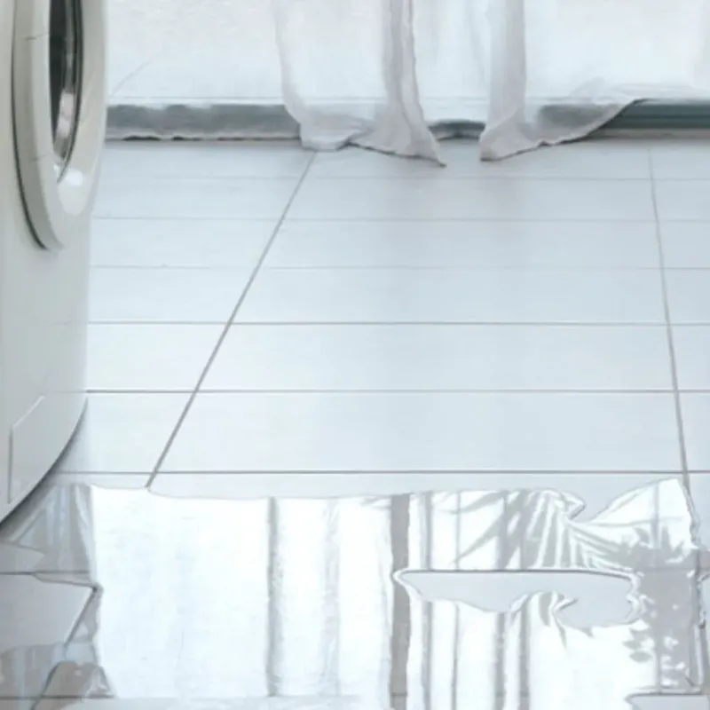 Appliance Leak Cleanup in Leon, IA