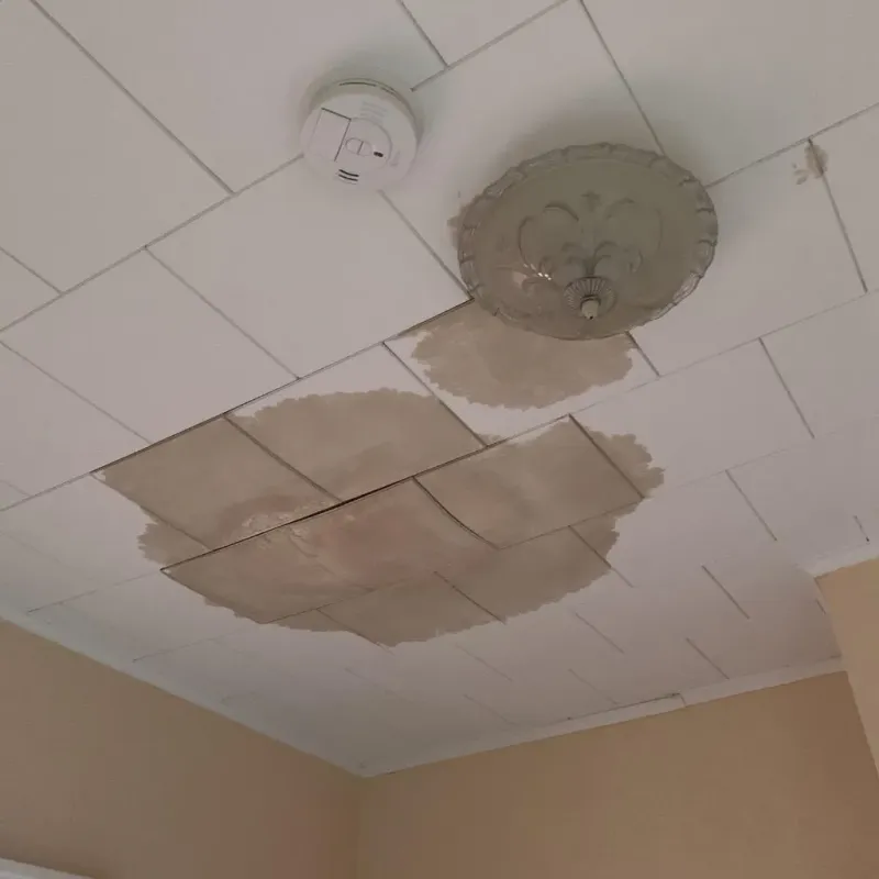 Ceiling Water Damage Repair in Leon, IA