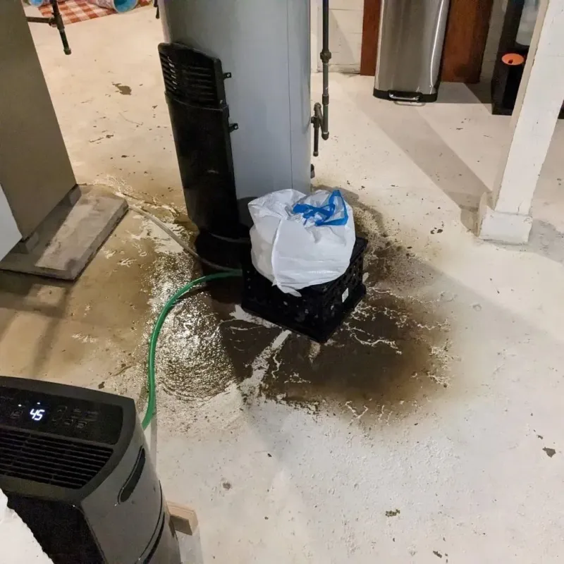 Sewage Backup Cleanup Service in Leon, IA
